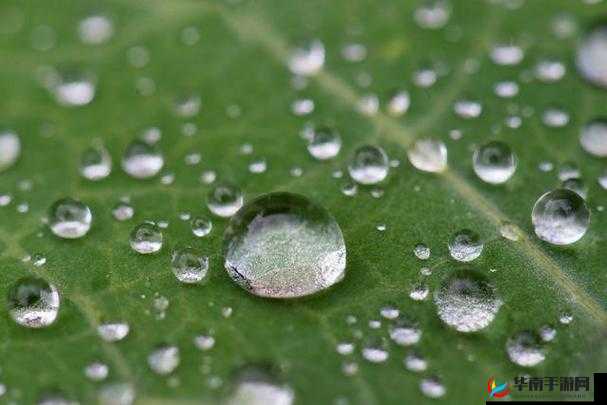 Chinese 国产 HDsex 水滴相关内容及精彩呈现