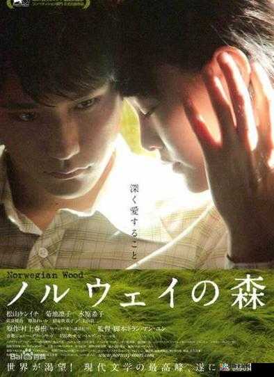 日本色倩网:探索日本之美,感受不一样的风情