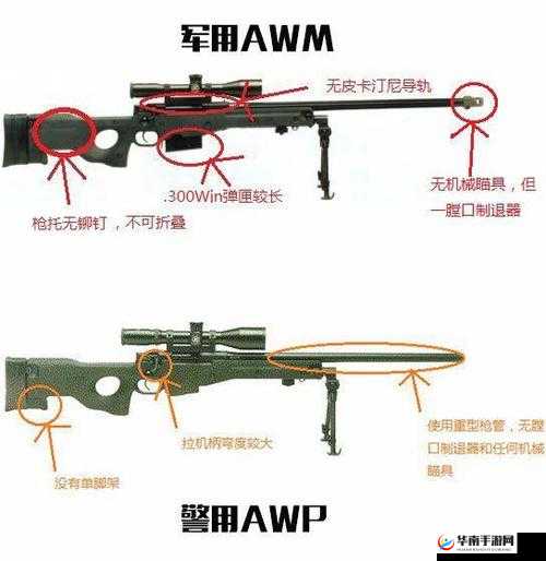 日本 csgo 大姐姐 aWP 多少钱黄：教你如何在游戏中获得胜利