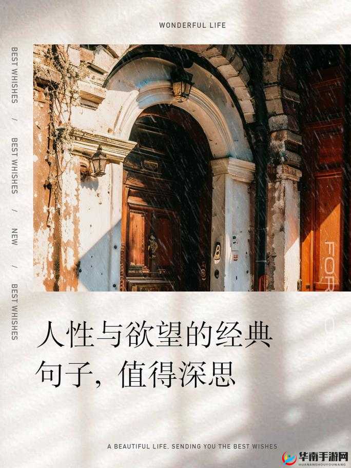 肉妇春潮干柴烈火色欲 96:探究欲望背后的人性与情感