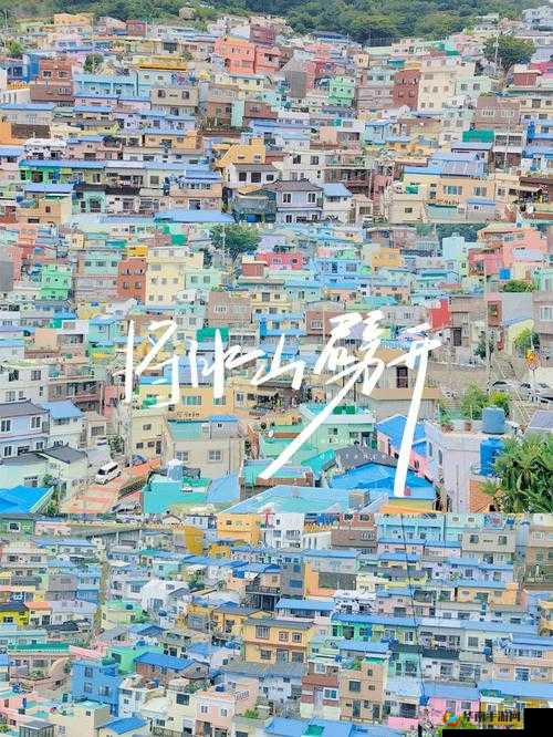 亚洲色 78：探索亚洲文化与艺术的新视角