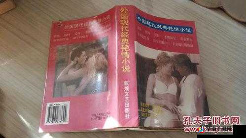 欧美经典性爱小说之激情演绎与浪漫篇章