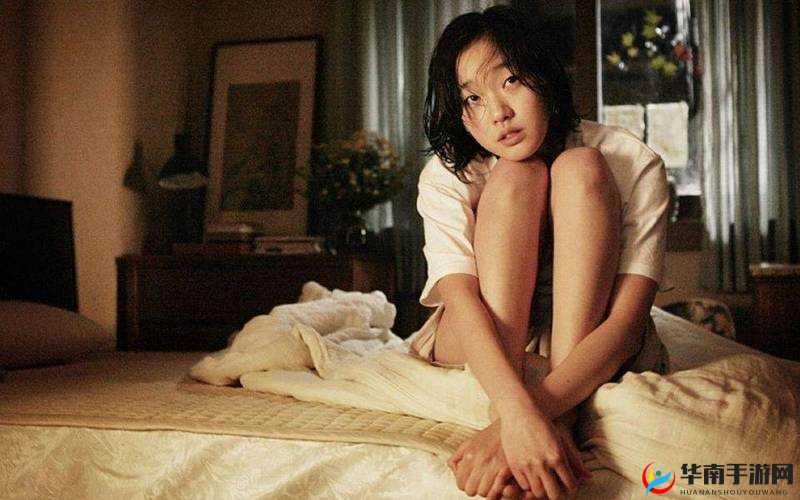 日韩欧美三级片之独特魅力与多元呈现