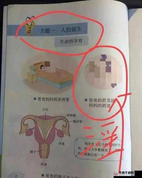 男女污污软件精卫：探索未知的奇幻之旅