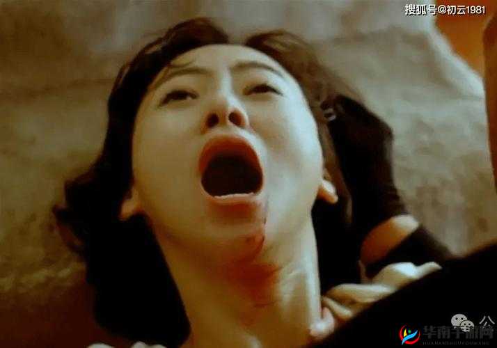 亚洲 A 级片之独特魅力与精彩呈现