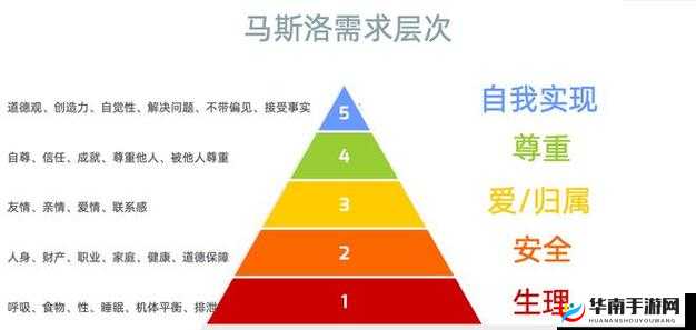 探索未知的欲望：探索人类性行为的奥秘
