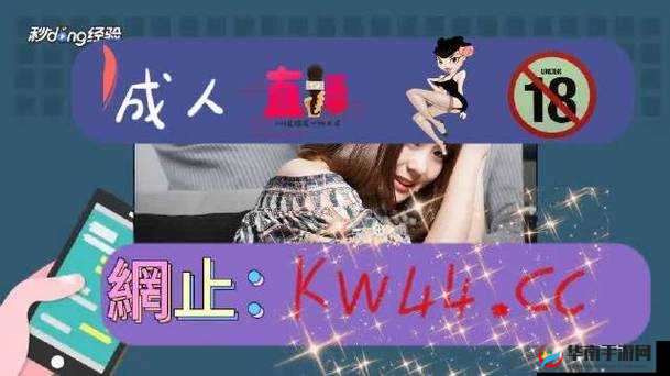 精品无人乱码一区二区三区特点：高清画质与丰富内容的完美融合