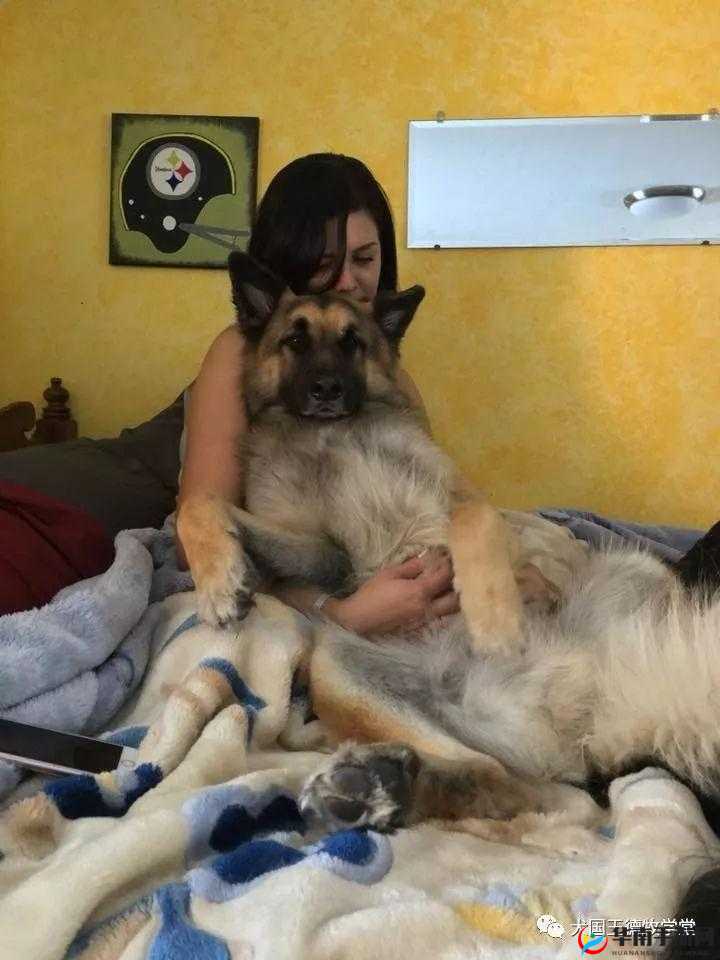 女人与公拘交酡全过女免费：一段引人入胜的免费体验