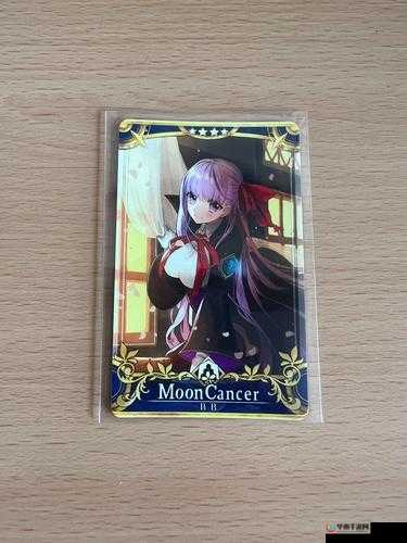 命运冠位指定FGO CCC联动BB技能全揭秘