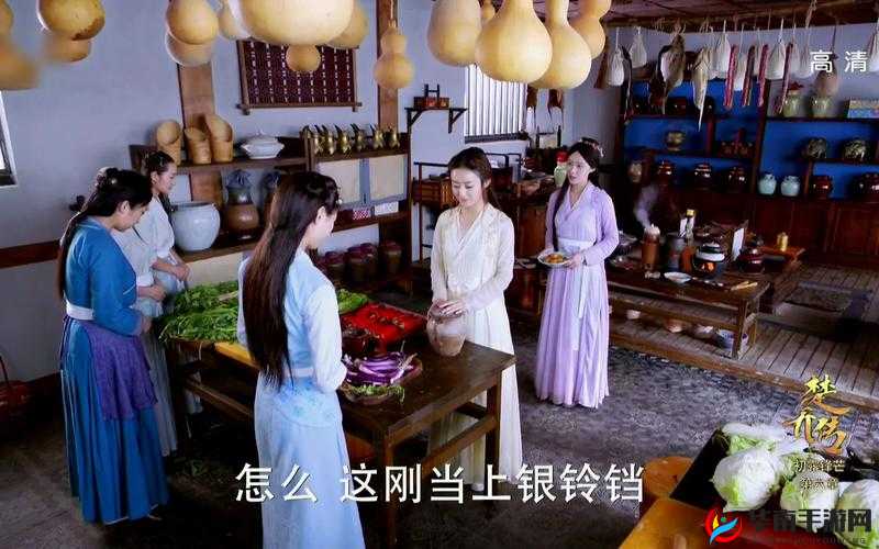 特工皇妃楚乔传宠物系统玩法内容全解析，资源管理的艺术