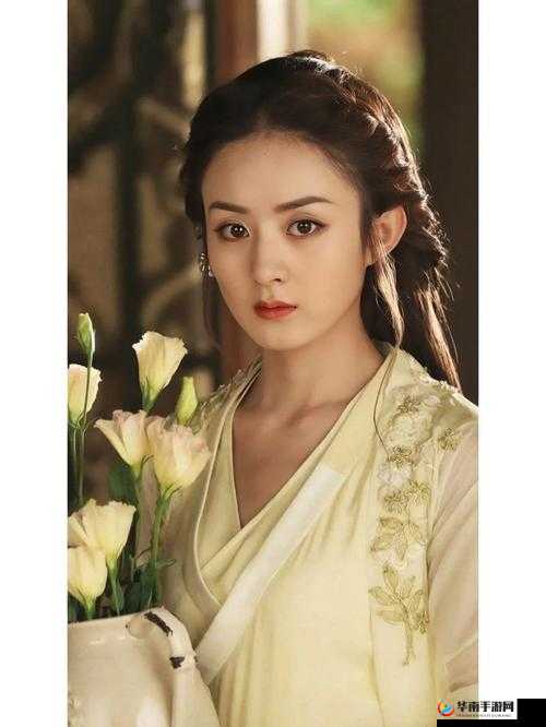 特工皇妃楚乔传武将升级系统玩法指南