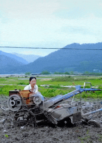 妇女被深耕后具体表现之相关图片探讨