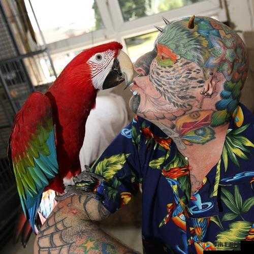 美国一男子与人形鹦鹉发生性关系被捕