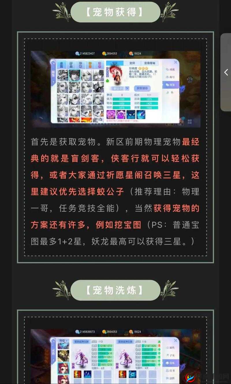 桃花源记手游九儿同伴技能深度剖析