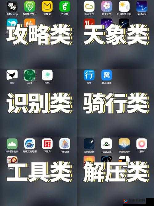 户外大秀app 哪个用户最多啊：探寻其背后的用户群体差异与分布