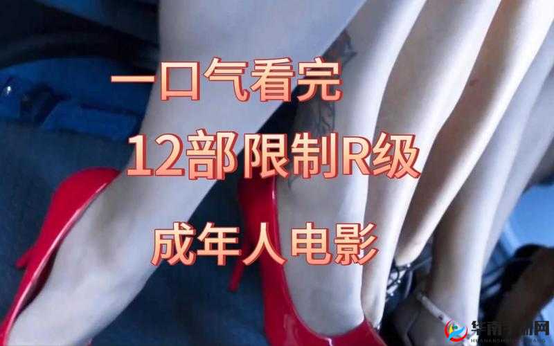 私房 957 影视：带你走进电影的私人世界