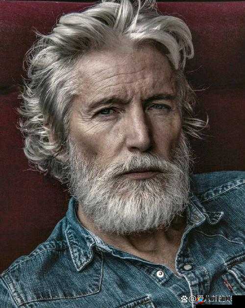 欧美色老汉的独特魅力与故事呈现