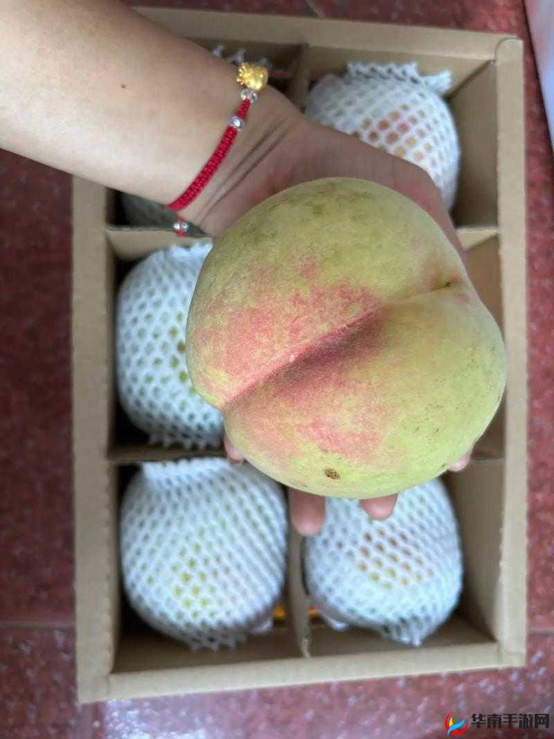 aj38 水蜜桃：新鲜美味带来甜蜜夏日时光体验