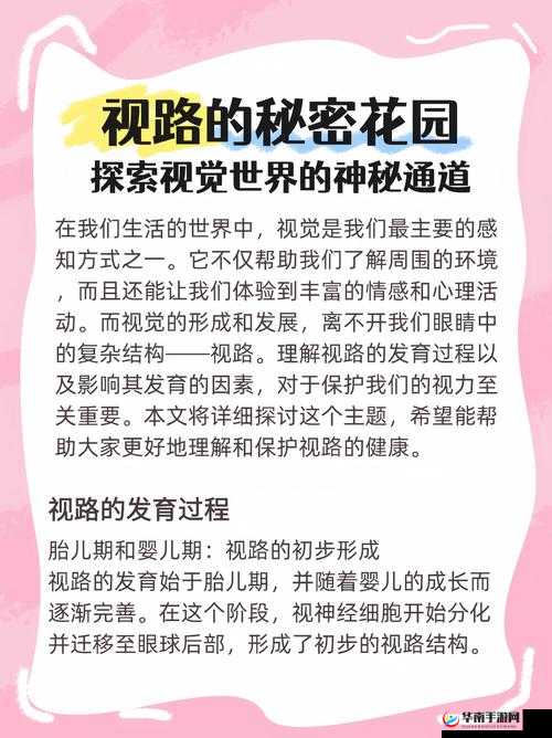 神秘电影 vip5 条通道在哪：带你探索其背后的秘密世界