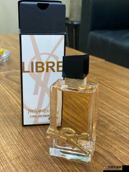 ysl 千人千色 ae86v9：时尚与个性的完美结合