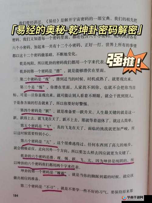 by115110m ：探索未知领域的关键密码与奥秘