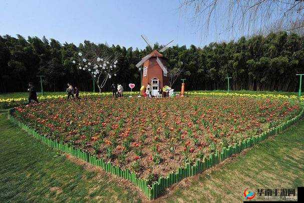 武汉新洲区香草伊甸园景区：浪漫花海与自然之美交融
