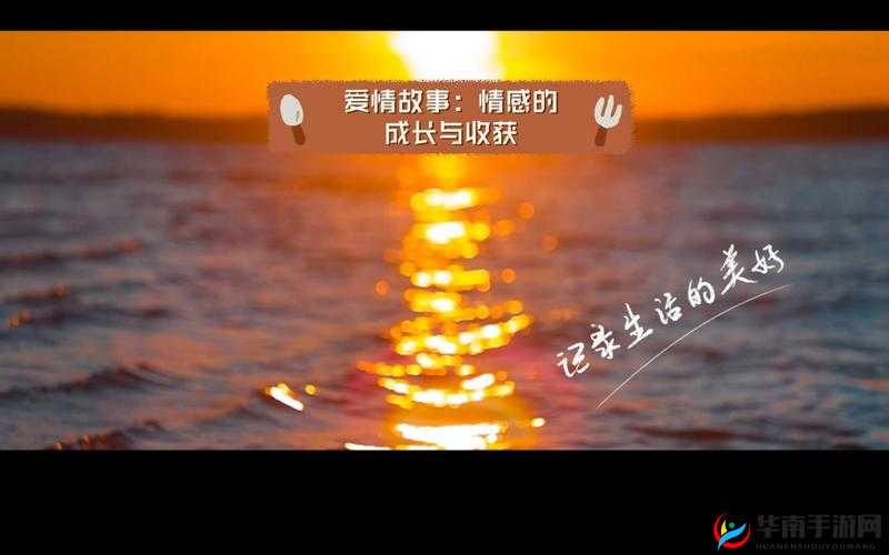 九月丁香狠狠爱八月婷婷：一段特殊情感的故事