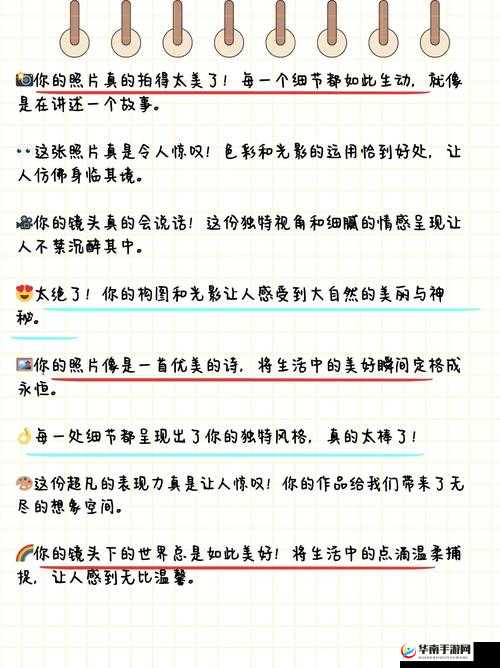 干 B 网:独特视角呈现精彩内容与独特魅力
