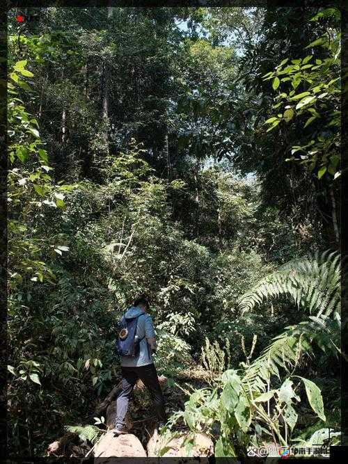 男 BWBWBWBW：独特魅力引发的奇妙探索