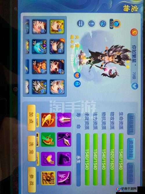 圣骑之光，梦想世界3D中的治疗圣骑深度解析