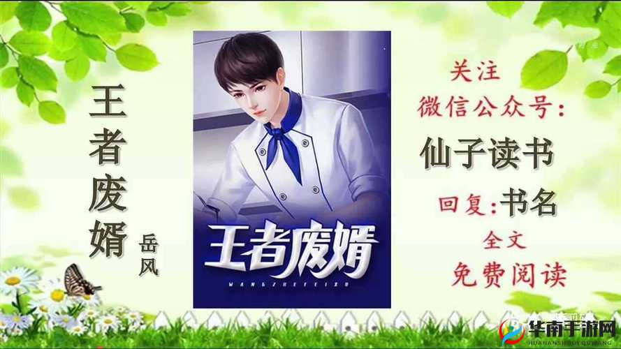 最终还是从了女婿岳风：一个家庭的挣扎与和解