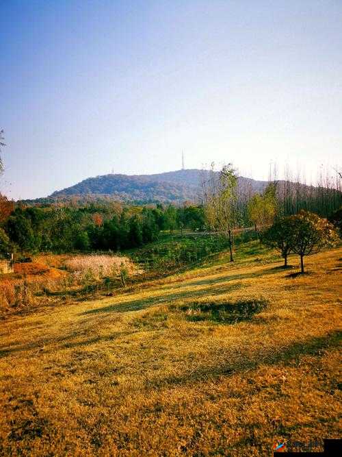 梅开二度公园当着孩子的面将加入：这究竟是怎么回事呢