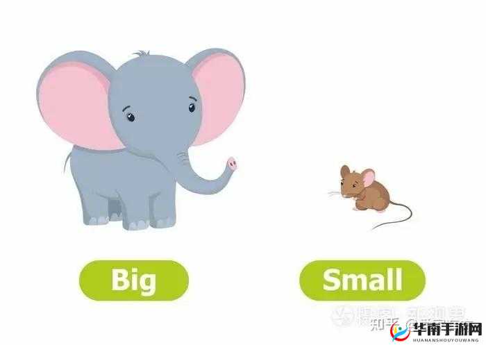 B 大与小的区别：大与小的差异究竟何在