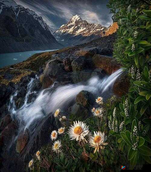 藏精阁91com:一个充满神秘色彩的地方