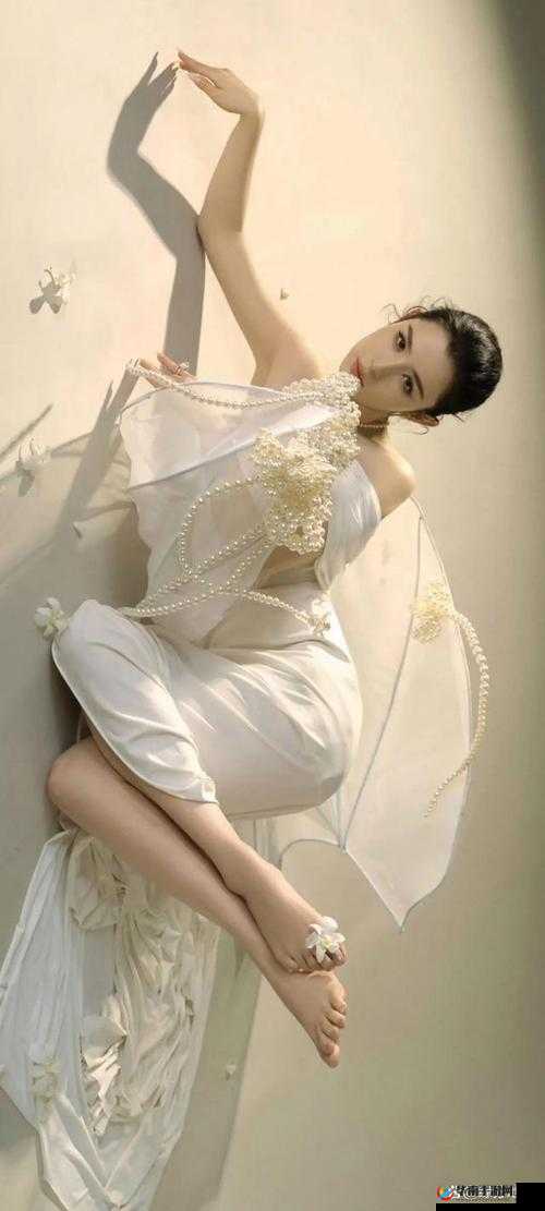 A级无遮挡：探索其独特魅力与非凡之处