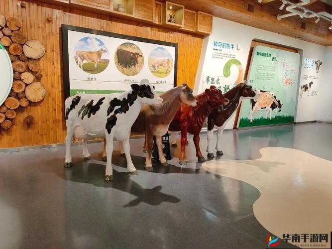 牧场 vihaes 人与 kg：关于他们在牧场的故事与经历