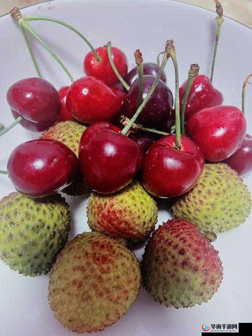 荔枝樱桃草莓小蝌蚪秋葵视频：丰富多彩的水果与生物奇妙世界