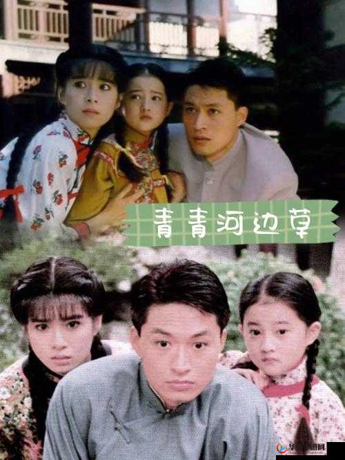 青青河边草高清免费版视频：带你重温经典的影视之旅
