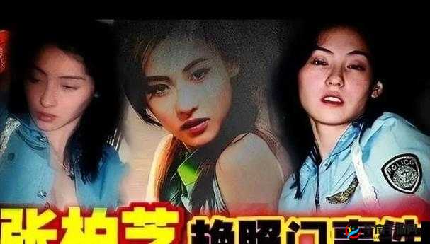 柏芝不雅照:重口味还是娱乐至死?