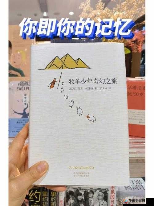获得超级胬肉系统小说的吸引力：带你开启奇幻之旅