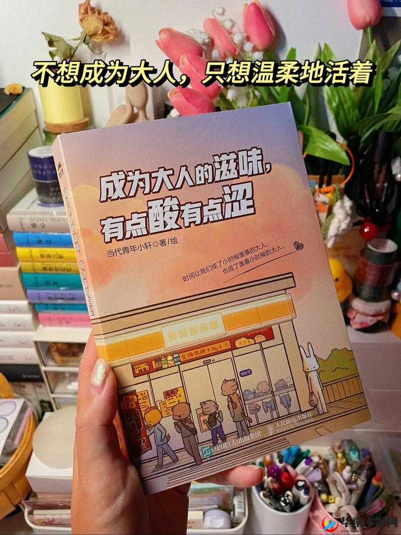 16 岁的我究竟能塞几支笔呢:一场关于年龄与能力的探索