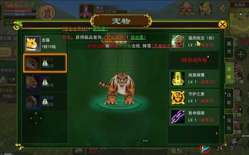 热血江湖手游宠物喂养系统玩法技巧详解