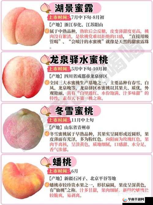 欧产日产国产水蜜桃：不同产地水蜜桃的特点与差异分析