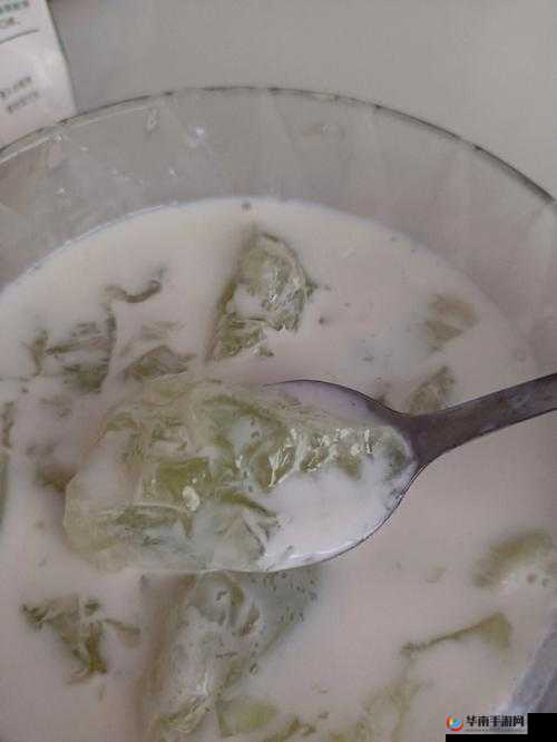 豆浆撞奶 by 羊马驼:独特饮品的奇妙碰撞