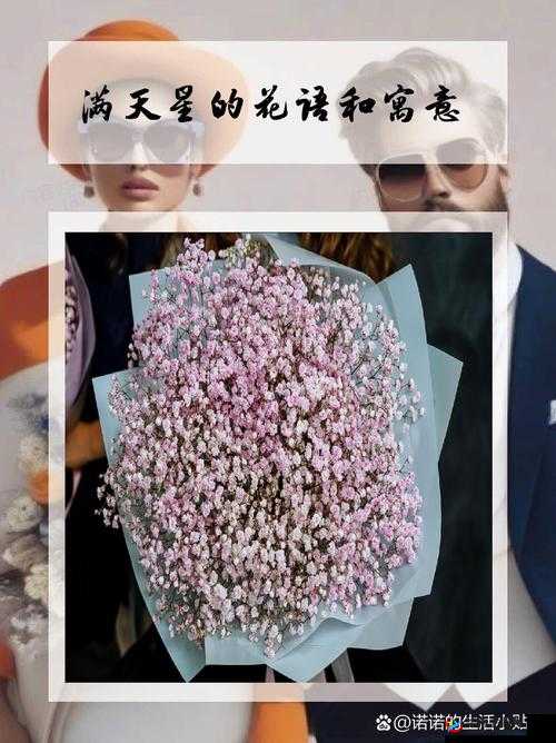 满天星酒店服务生：在酒店中默默奉献的服务者的故事