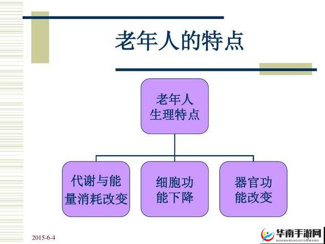 老年人的 BB 之关于它的详细介绍与相关探讨