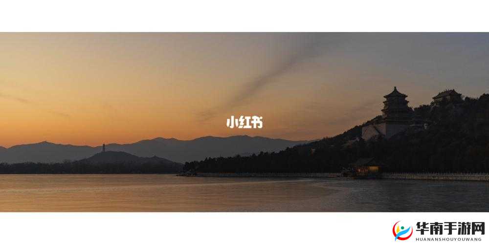 氺茤茤 91 相关:独特魅力引发诸多探讨