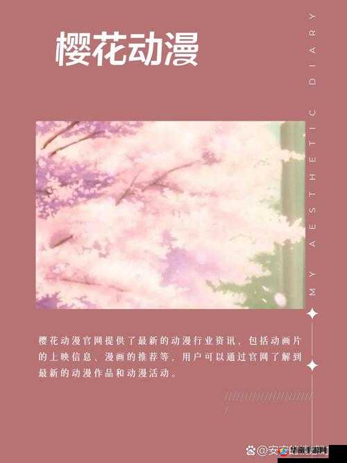 探寻樱花动漫官网官方入口究竟在哪里找