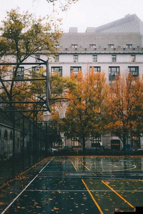 37 大但人文艺：探寻独特艺术之美与魅力