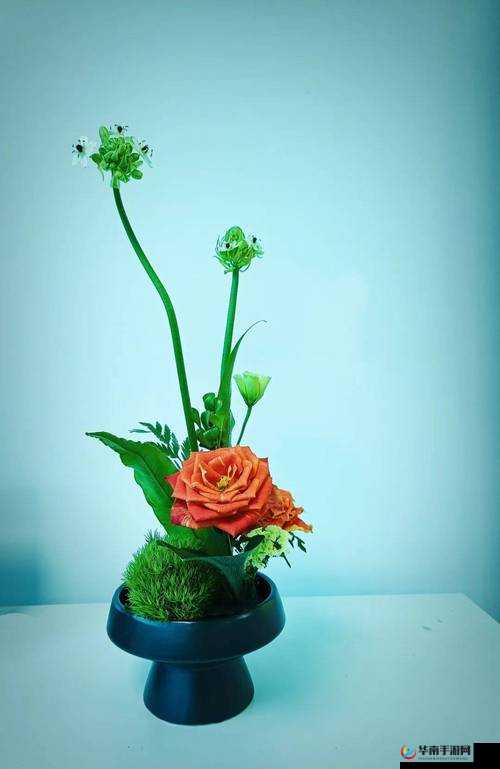 插花弄玉：感受自然之美，体验艺术之乐